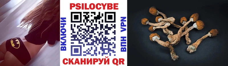 Галлюциногенные грибы GOLDEN TEACHER  Западная Двина 