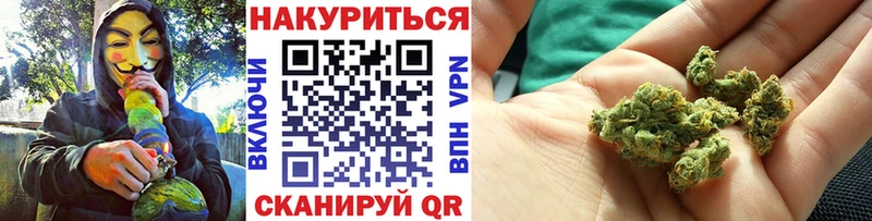 Каннабис SATIVA & INDICA  Западная Двина 